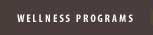Arden Hills Wellness